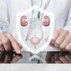 Holistic Renal Health Programme