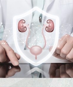 「腎」全健康計劃