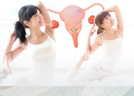 Female Fertility Hormone Screening Package 1