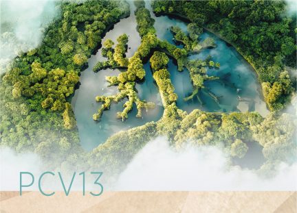 13-valent Pneumococcal Conjugate Vaccine (PCV13)