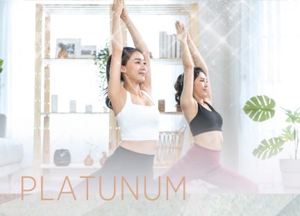 Female Health Check Programme (Platinum)